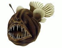 Aggressive Mimicry - © Attention Deficit Disorder Prosthetic Memory Program