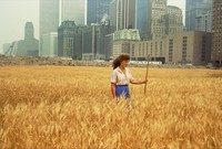 Wheatfield — A Confrontation - © Attention Deficit Disorder Prosthetic Memory Program