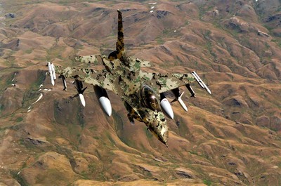 Aircraft Camouflage - © Attention Deficit Disorder Prosthetic Memory Program