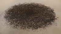 Ant Mill - © Attention Deficit Disorder Prosthetic Memory Program