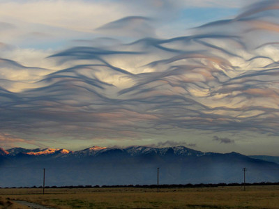 Asperitas - © Attention Deficit Disorder Prosthetic Memory Program