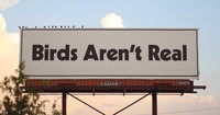 Birds aren't real - © Attention Deficit Disorder Prosthetic Memory Program
