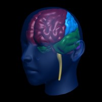 Brain Uploading - © Attention Deficit Disorder Prosthetic Memory Program