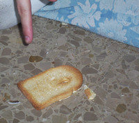 Buttered Toast Phenomenon - © Attention Deficit Disorder Prosthetic Memory Program