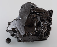 Carbon Chauvinism - © Attention Deficit Disorder Prosthetic Memory Program