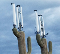 Camouflaged Cell Phone Towers - © Attention Deficit Disorder Prosthetic Memory Program