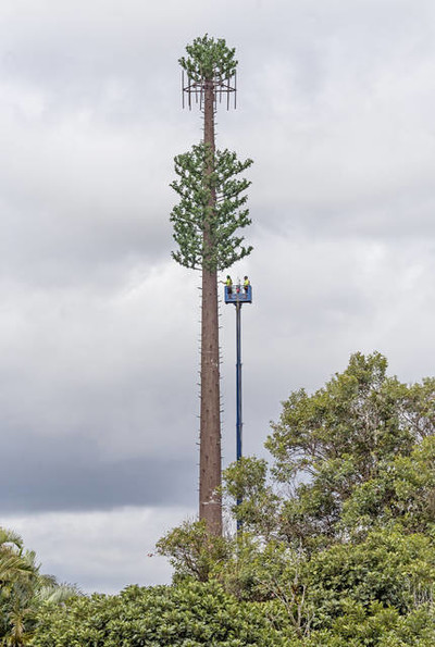 Camouflaged Cell Phone Towers - © Attention Deficit Disorder Prosthetic Memory Program
