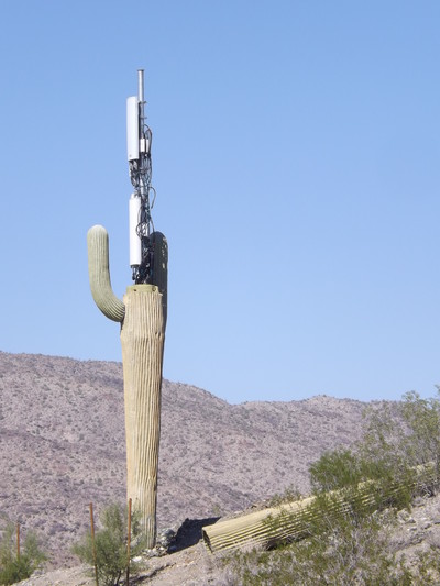 Camouflaged Cell Phone Towers - © Attention Deficit Disorder Prosthetic Memory Program