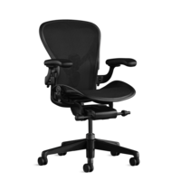 Charles Darwin Office Chair - © Attention Deficit Disorder Prosthetic Memory Program