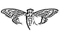 Cicada 3301 - © Attention Deficit Disorder Prosthetic Memory Program
