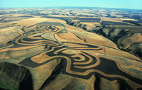 Contour Ploughing - © Attention Deficit Disorder Prosthetic Memory Program