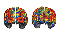 Deja Vu - © Attention Deficit Disorder Prosthetic Memory Program