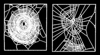 Effects Of Psychoactive Drugs On Spiders - © Attention Deficit Disorder Prosthetic Memory Program