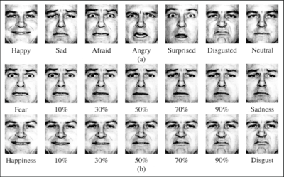 Ekman 60 Faces Task - © Attention Deficit Disorder Prosthetic Memory Program