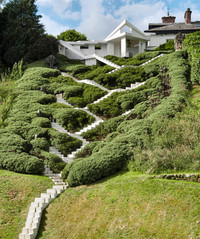 Garden of Cosmic Speculation - © Attention Deficit Disorder Prosthetic Memory Program