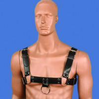 Harness - © Attention Deficit Disorder Prosthetic Memory Program