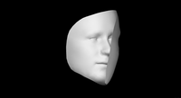 Hollow-Face Illusion - © Attention Deficit Disorder Prosthetic Memory Program
