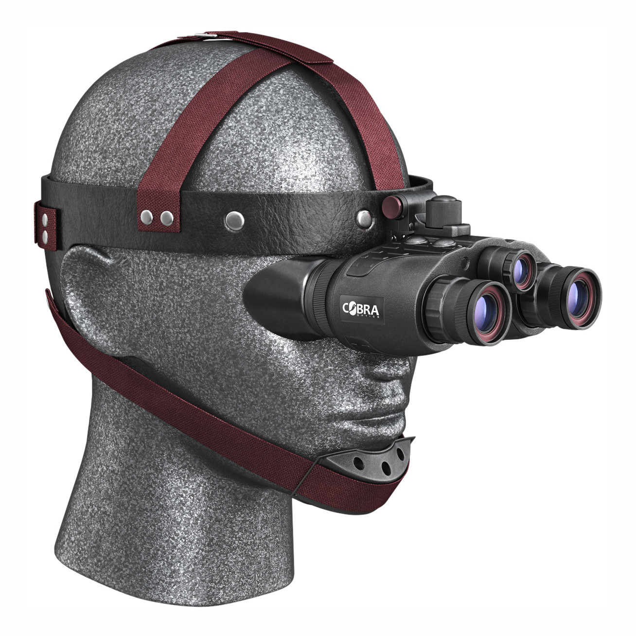 Johnson's Criteria Attention Deficit Disorder Prosthetic Memory Program