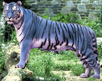 Maltese Tiger - © Attention Deficit Disorder Prosthetic Memory Program
