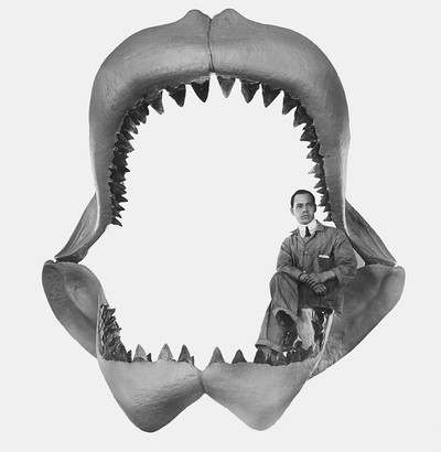 Megalodon, The Monster Shark Lives - © Attention Deficit Disorder Prosthetic Memory Program