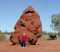 Mound-building Termites - © Attention Deficit Disorder Prosthetic Memory Program