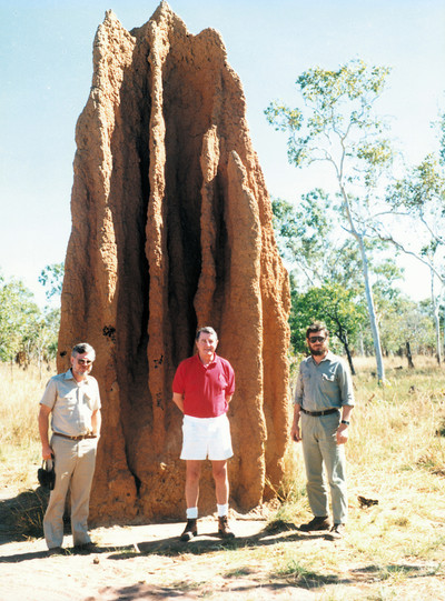 Mound-building Termites - © Attention Deficit Disorder Prosthetic Memory Program