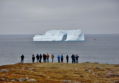 Newfoundland Icebergs - © Attention Deficit Disorder Prosthetic Memory Program