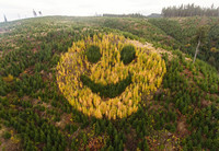 Oregon Highway 18 Smiley Face - © Attention Deficit Disorder Prosthetic Memory Program