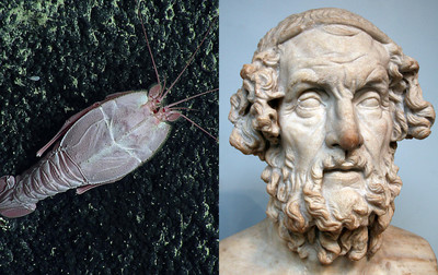 Organisms Named After Famous People - © Attention Deficit Disorder Prosthetic Memory Program
