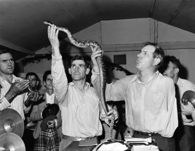 Pentecostal Snake Handlers - © Attention Deficit Disorder Prosthetic Memory Program