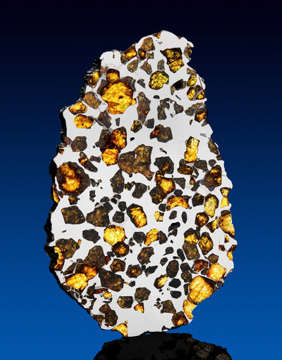 Pallasite - © Attention Deficit Disorder Prosthetic Memory Program