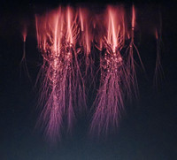 Sprite Lightning - © Attention Deficit Disorder Prosthetic Memory Program
