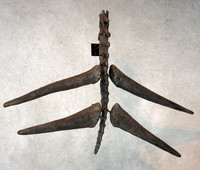 Thagomizer - © Attention Deficit Disorder Prosthetic Memory Program