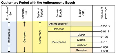 The Anthropocene Era - © Attention Deficit Disorder Prosthetic Memory Program